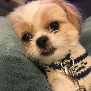 Meet your Posher, Arati